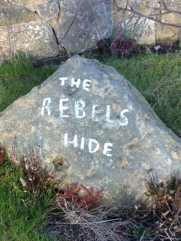 Rebels Hide -Self Check In Rooms Clifton  Dış mekan fotoğraf